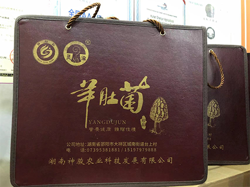 邵陽(yáng)紅