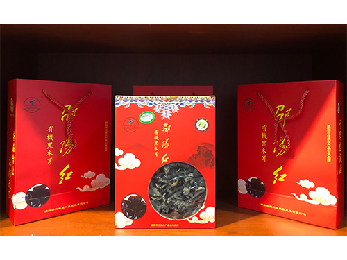 邵陽(yáng)紅