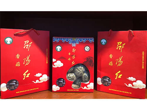 邵陽(yáng)紅