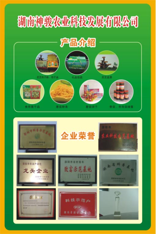 湖南神駿農(nóng)業(yè)科技發(fā)展有限公司,湖南神駿農(nóng)業(yè),湖南農(nóng)業(yè)科技,靈芝,茯苓,雙孢菇,杏鮑菇,食用菌哪家好 湖南神駿農(nóng)業(yè)科技發(fā)展有限公司,湖南神駿農(nóng)業(yè),湖南農(nóng)業(yè)科技,靈芝,茯苓,雙孢菇,杏鮑菇,食用菌哪家好